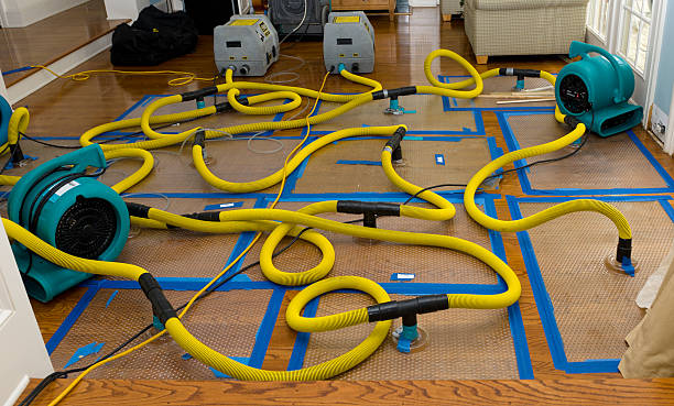 Professional Crawl Space Water Removal technician working in Wanamingo, MN